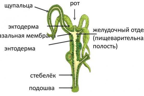 Кракен 05